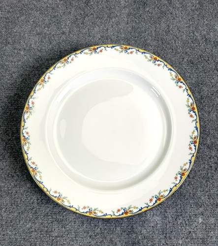 Limoges vignaud mosa - la,