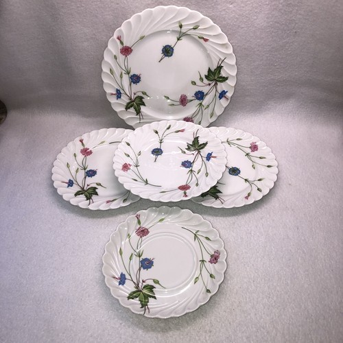 Haviland limoges firenze - limoges,