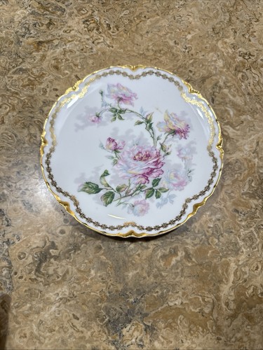 Antico piatto haviland - piatto,