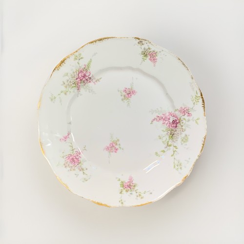 Theodore haviland limoges - haviland,